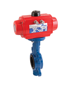 SA 2014WA 08