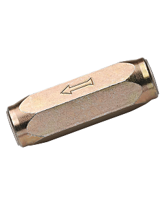 HNRV-1