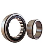 NUP203 ECP Cylindrical Roller Bearing