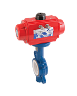 SA 2014WH 09
