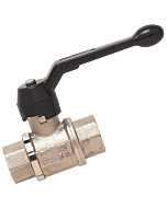 VBV-1