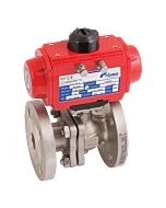 SA 2020D 11