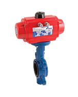 DA 2014WA 09
